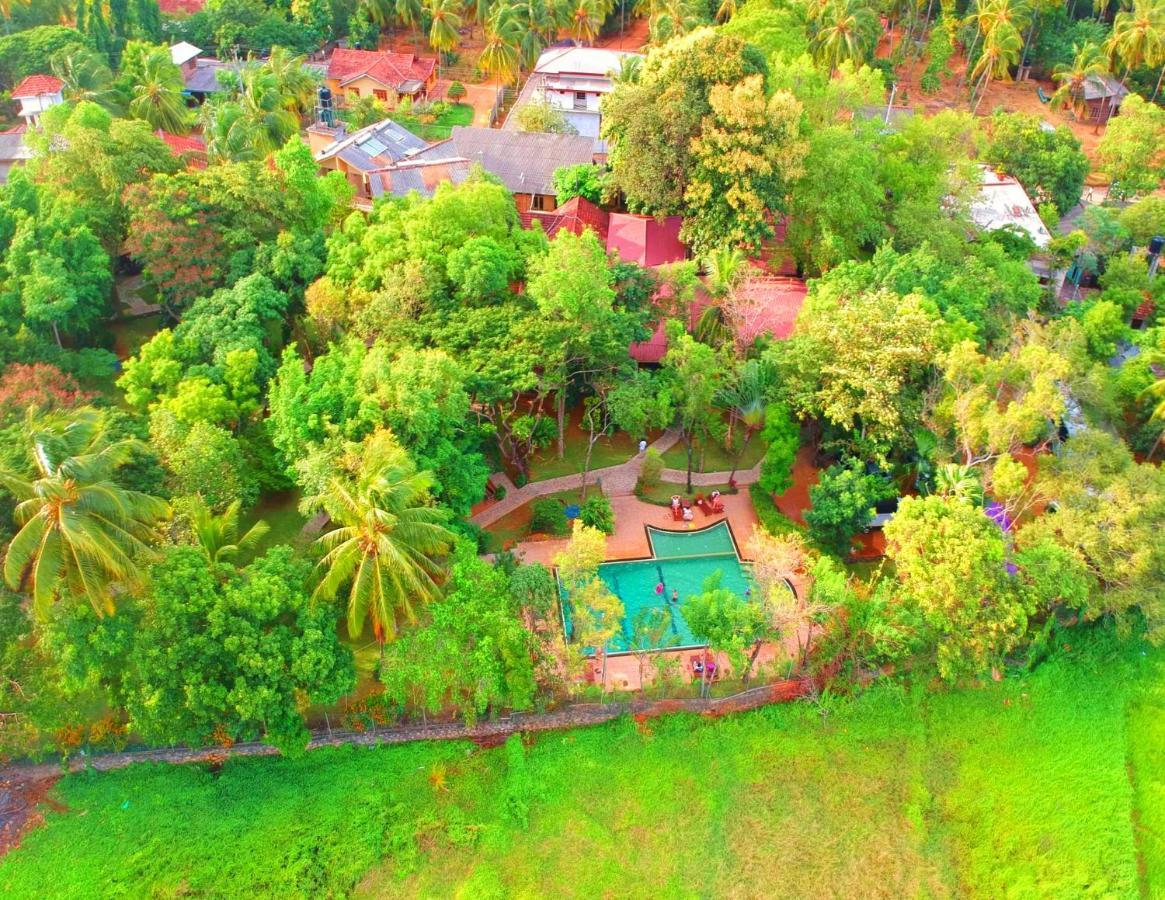 Pelwehera Village Resort Dambulla Exterior foto