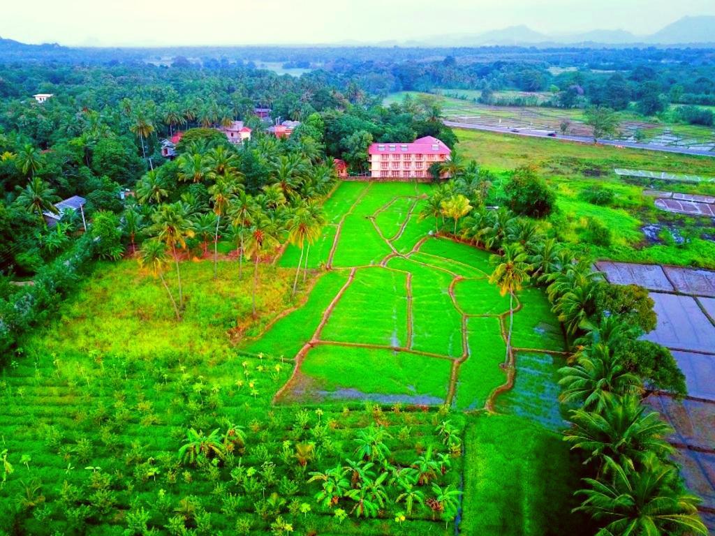 Pelwehera Village Resort Dambulla Exterior foto